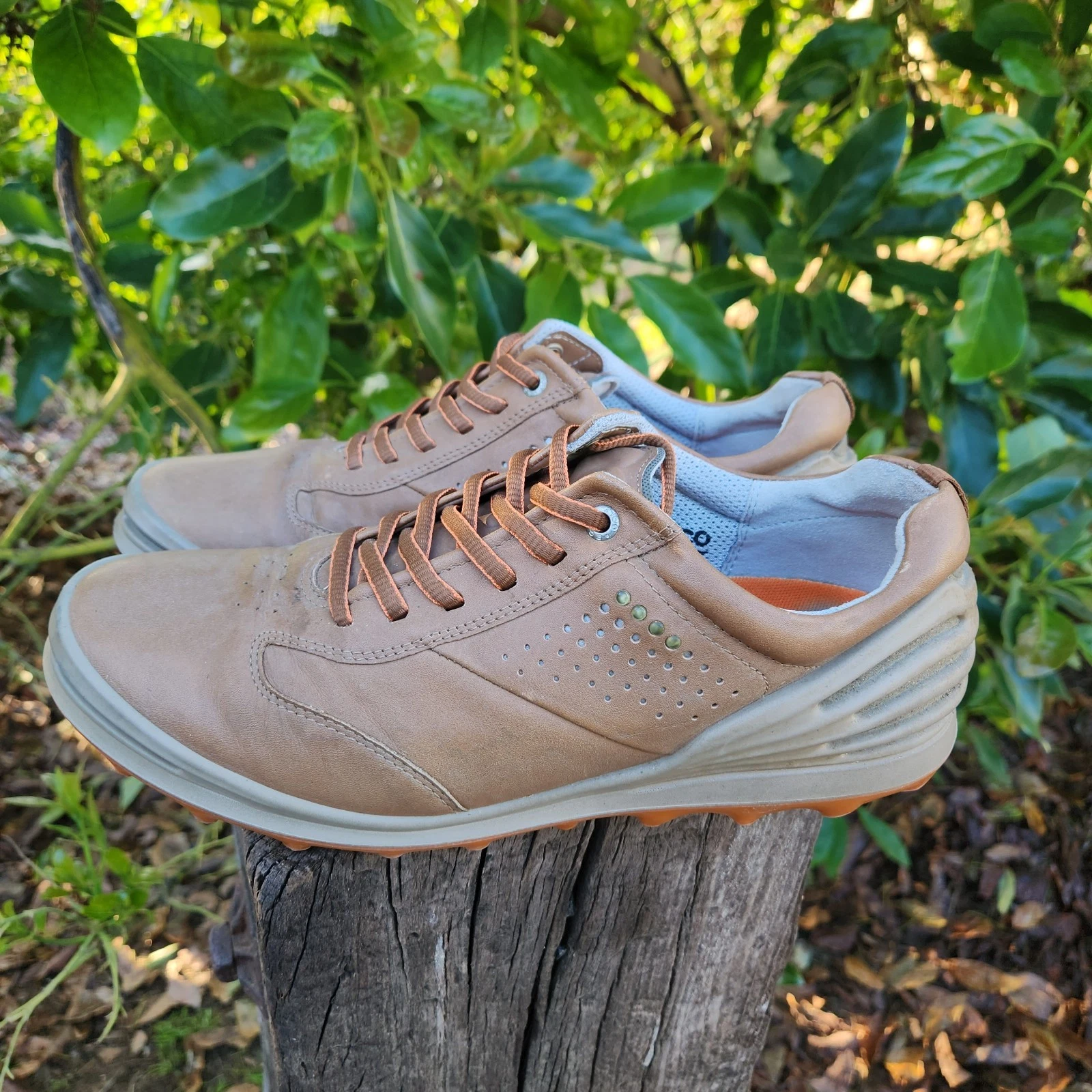 Scarpe da golf Ecco Hydromax 42 (US 8 8.5) in pelle marrone senza punte