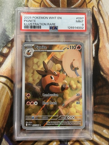 Pignite graded PSA 9 for sale on eBay