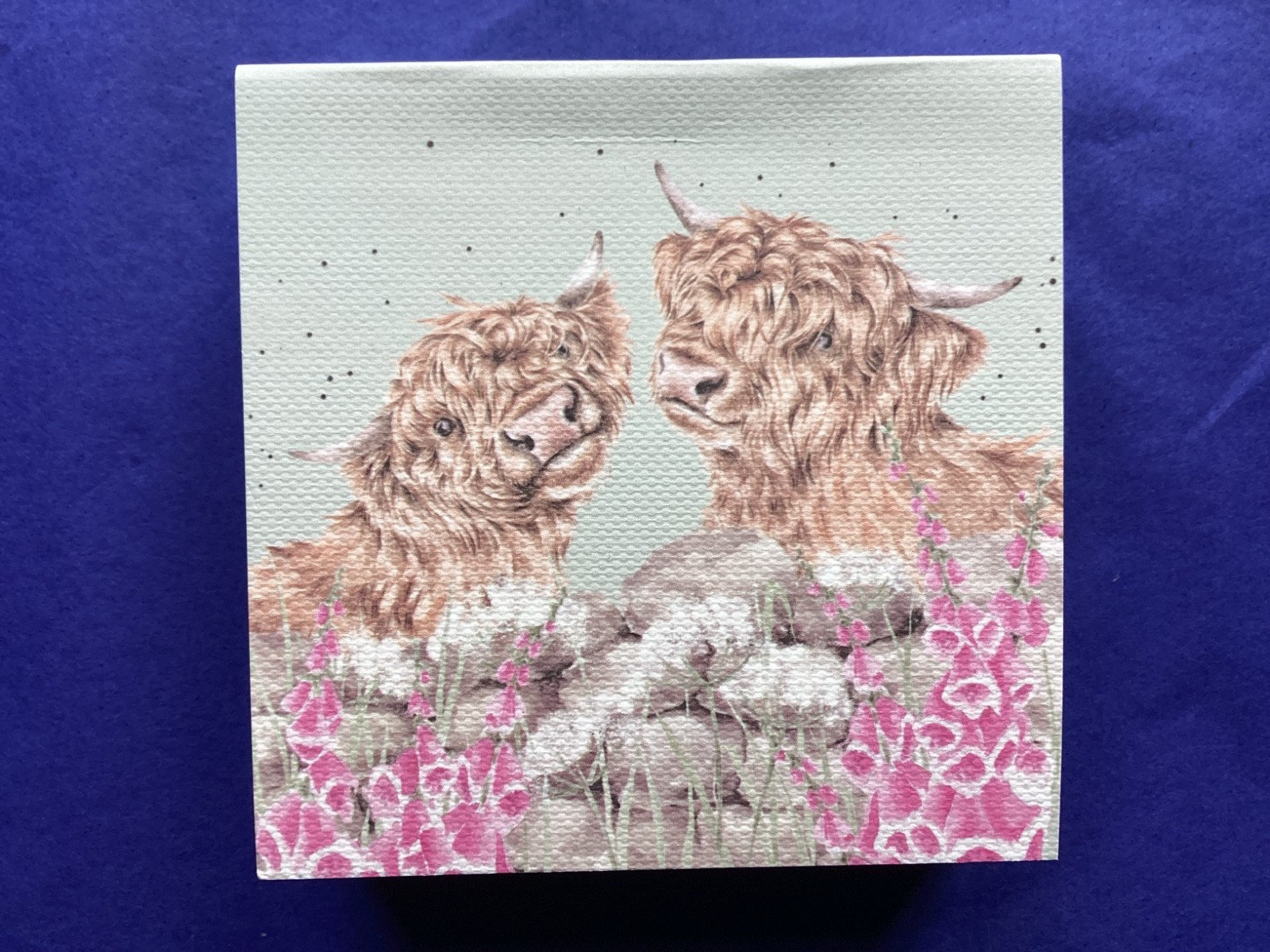 Wrendale STICKY NOTES BLOCK""  Just for moo!"" 2 highland cows & foxgloves