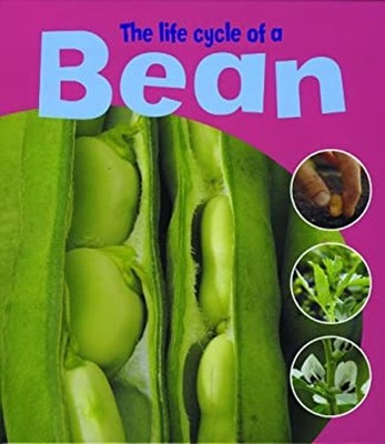 The Life Cycle of a Bean Library Binding Ruth Thomson