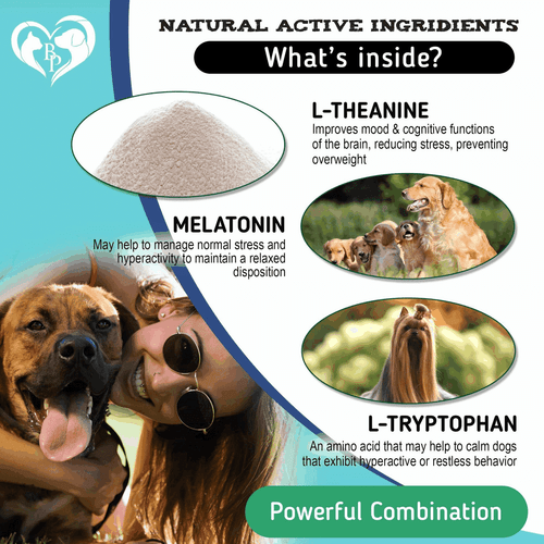 Hemp Calming Chews for Dogs Puppy Pet Separation Anxiety Relief Treats for Dog - Picture 3 of 6