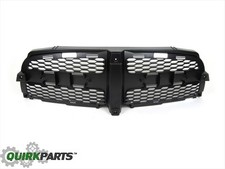 2011-2014 Dodge Charger Rt Super Track Honeycomb Radiator Grill Insert Oem New 2011-2014 Dodge Charger Rt Super Track Honeycomb Radiator Grill Insert Oem New