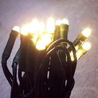 50Er Led Ein-Strang-Lichterkette Warmweiß-GrüN Nexos SC00033