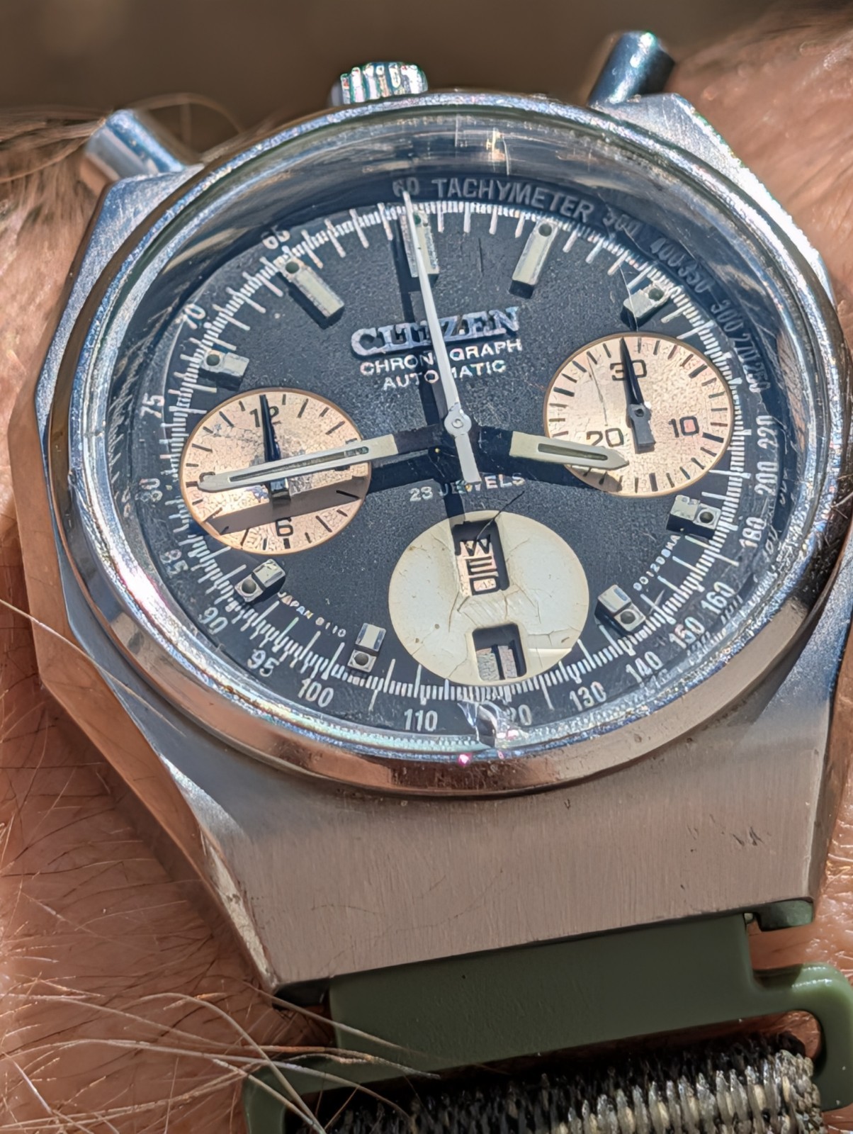 Rare Citizen Octagonal Reverse Panda Bullhead Cha… - image 16