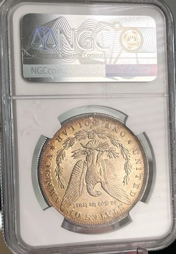 1884 O Morgan Silver Dollar NGC MS63 Beautiful Reverse Toning