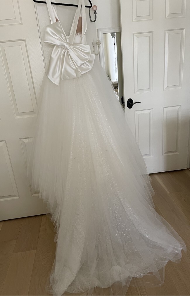 NWT custom Pnina Tornai wedding gown size 0: backless, tulle, silk, ball  gown | eBay