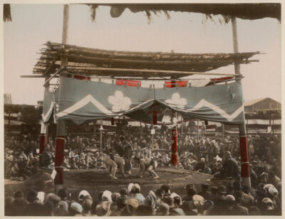 Albumen Foto Japanischer Sumo-Ringer Um 1880