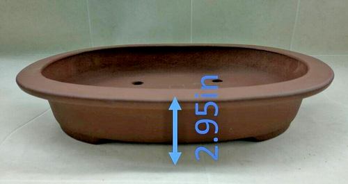 Olla Bonsai, Artículos Tokoname, Buen Estado, 16" x 12" x 3" - Imagen 8 de 8