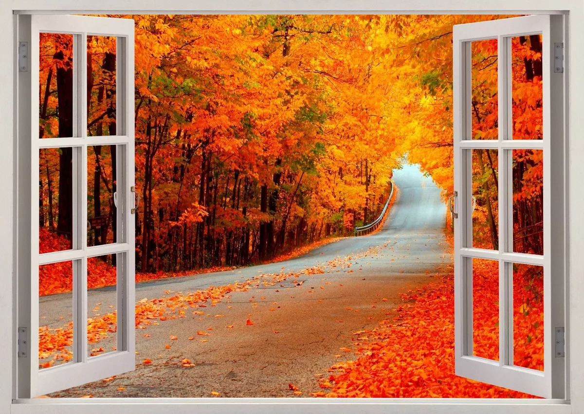 3d window store wall art