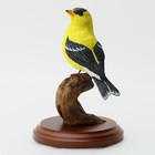 Richard Lamson American Goldfinch Resin Bird Figurine w/ Attached Base