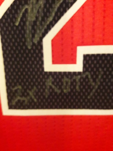 Brian Scalabrine SIGNED CHICAGO BULLS JERSEY W 2X ROTY INSCRIPTION PSA/DNA XL - Picture 5 of 9
