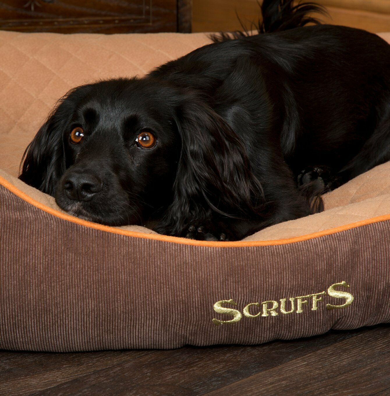 Scruffs Thermal Self Heating Box Bed Extra Warm Dog Bed Small to XL