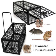 Mouse Rat Trap Humane Live Bait Vermin Rodent Metal Cage 2pcs Traps Mice Pest UK