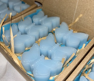 wax melts OCEANIC RAIN & CYPRESS Geschenkbox Portofrei X6 Schmetterling  
