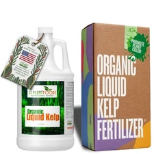 Liquid Kelp Organic Seaweed Fertilizer, 1 Gallon of concentrate GS Plant Foods