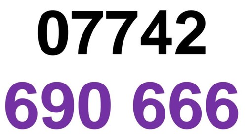 GOLD EASY MEMORABLE MOBILE PHONE NUMBER DIAMOND PLATINUM SIM CARD 07742 690 666