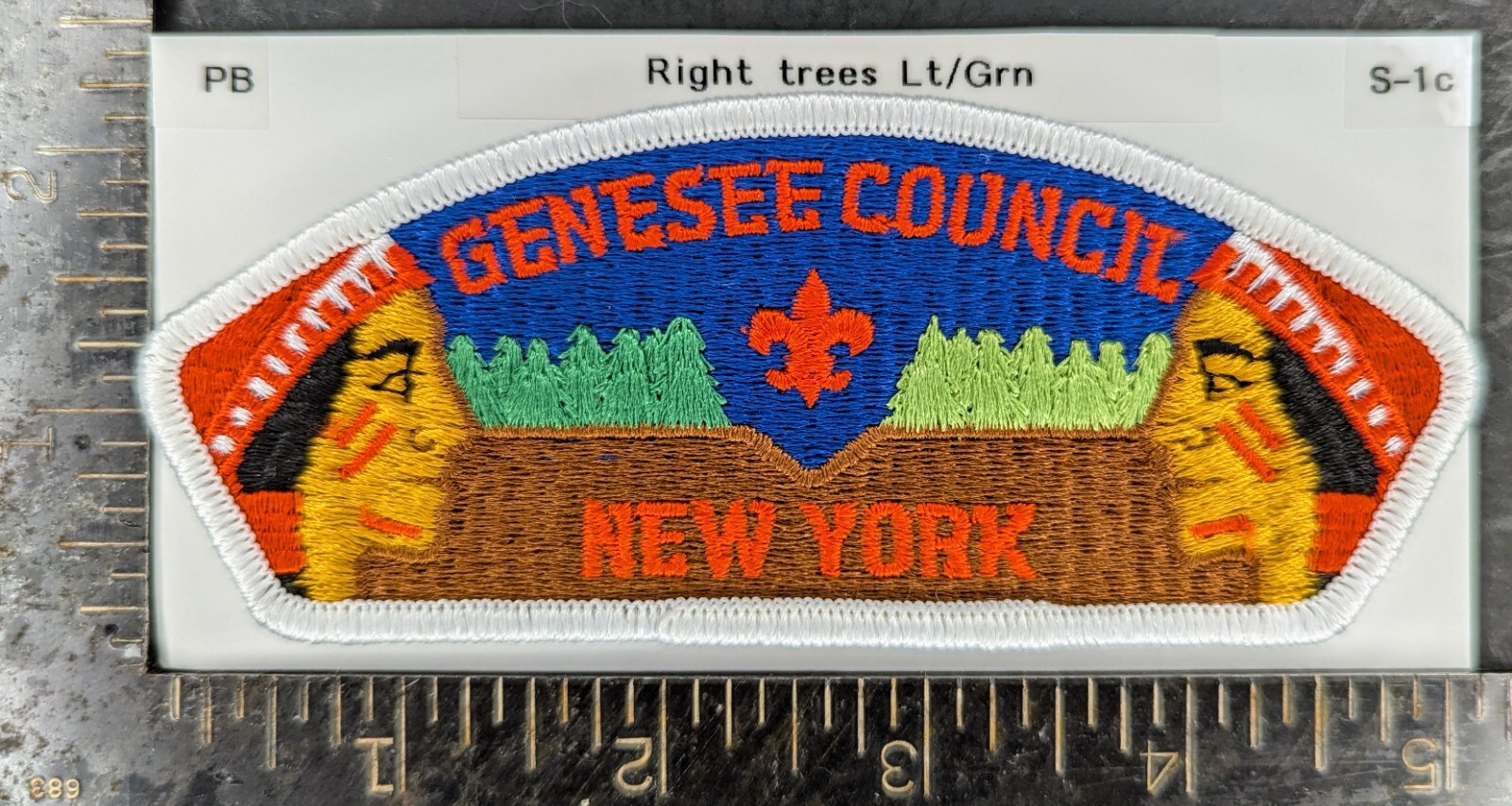 GENESEE COUNCIL NEW YORK CSP S1c BSA Boy Scout Patch MINT NR eBay