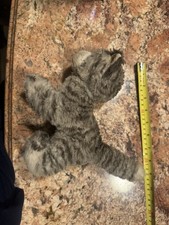 Antique Vtg Early Mohair KITTY CAT Teddy Bear Glass Eyes Button Steiff Mini 4"