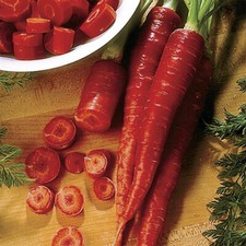 350 ATOMIC RED CARROT SEEDS FRESH HARVEST FOR GARDEN