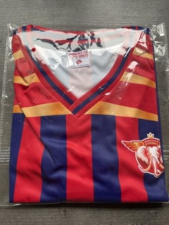 Manchester Super Giants the hundred cricket shirt size XL