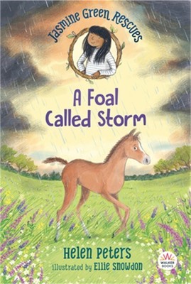 Jasmine Green Rescues: A Foal Called Storm (Paperback or Softback)