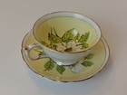 PARAGON Double Warrant  Bone China Teacup Saucer England Floating Dogwood Yellow