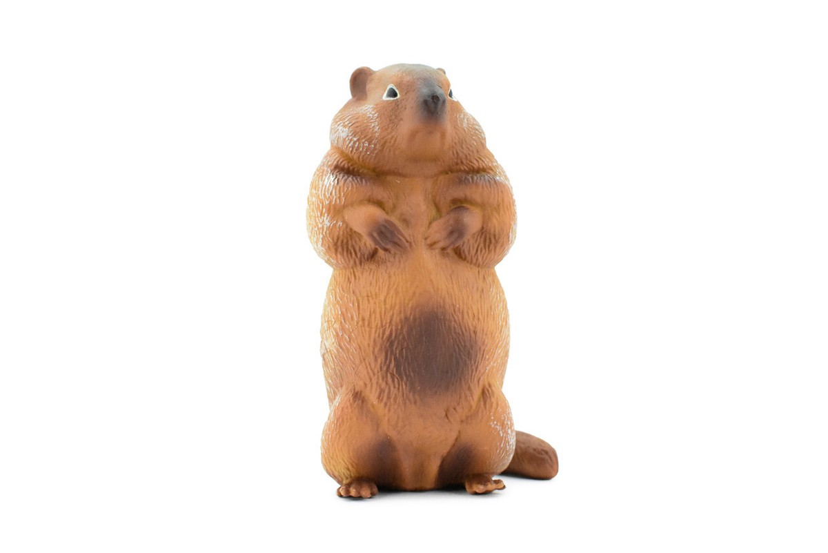 Marmot, Ground Squirrel, Realistic Toy Figure, Replica, Gift