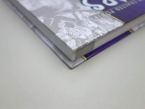 Exalted Second Edition - The Manual of Exalted Powers Lunars (White Wolf Games) - Picture 11 of 12
