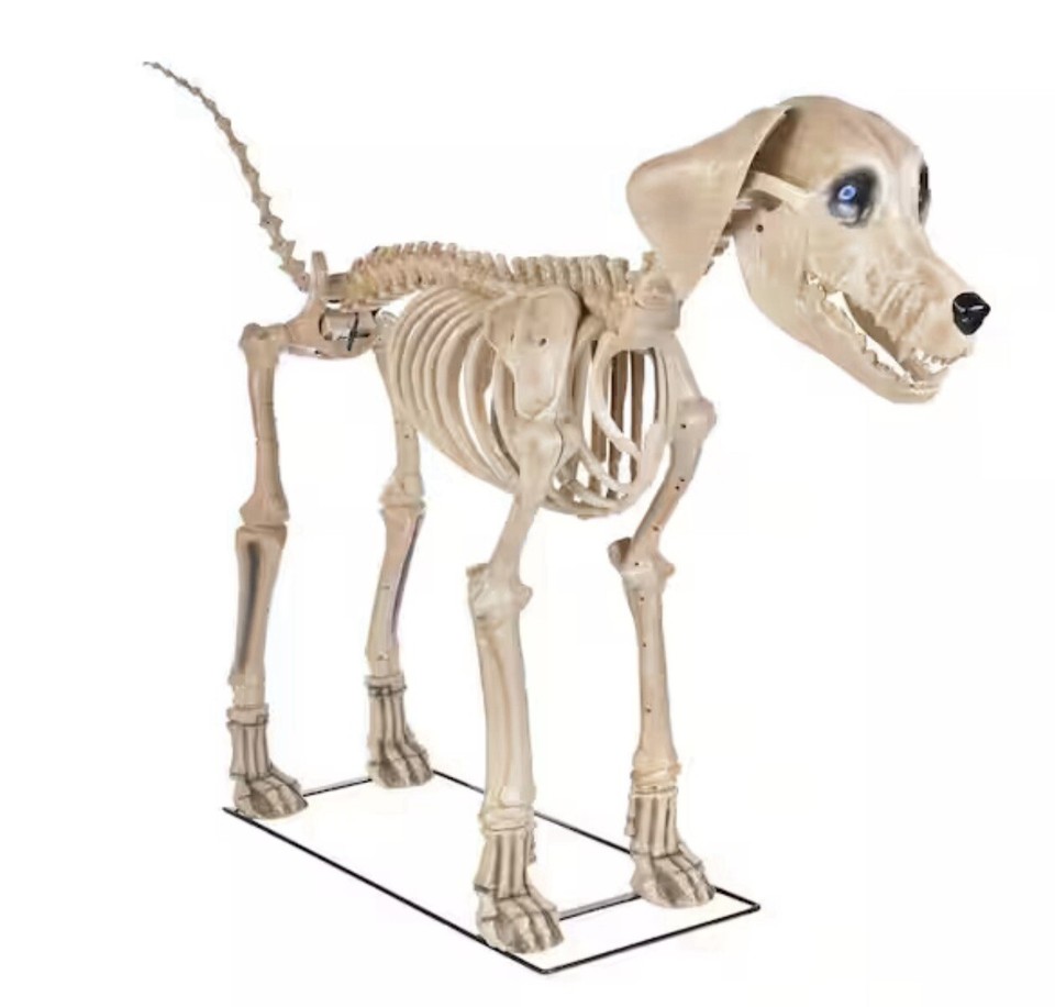 7ft FT Skeleton Dog Skelly's Home Accent Halloween 2024 Home Depot SAME