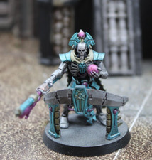 Necron Overlord, Well Painted, ID 2026