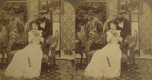 Stereoview Photograph NEWLYWEDS NEW FRENCH COOK NO10 1900 3D GILDED AGE RISQUE - Picture 2 of 4