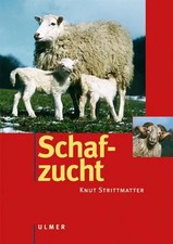 Schafzucht | Knut Strittmatter | Deutsch | Buch | Tierzuchtbücherei | 384 S.