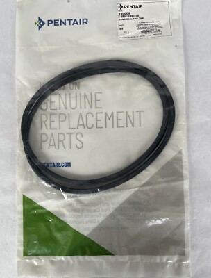 Genuine Pentair FNS Tank Oring, 195008, NEW in Bag