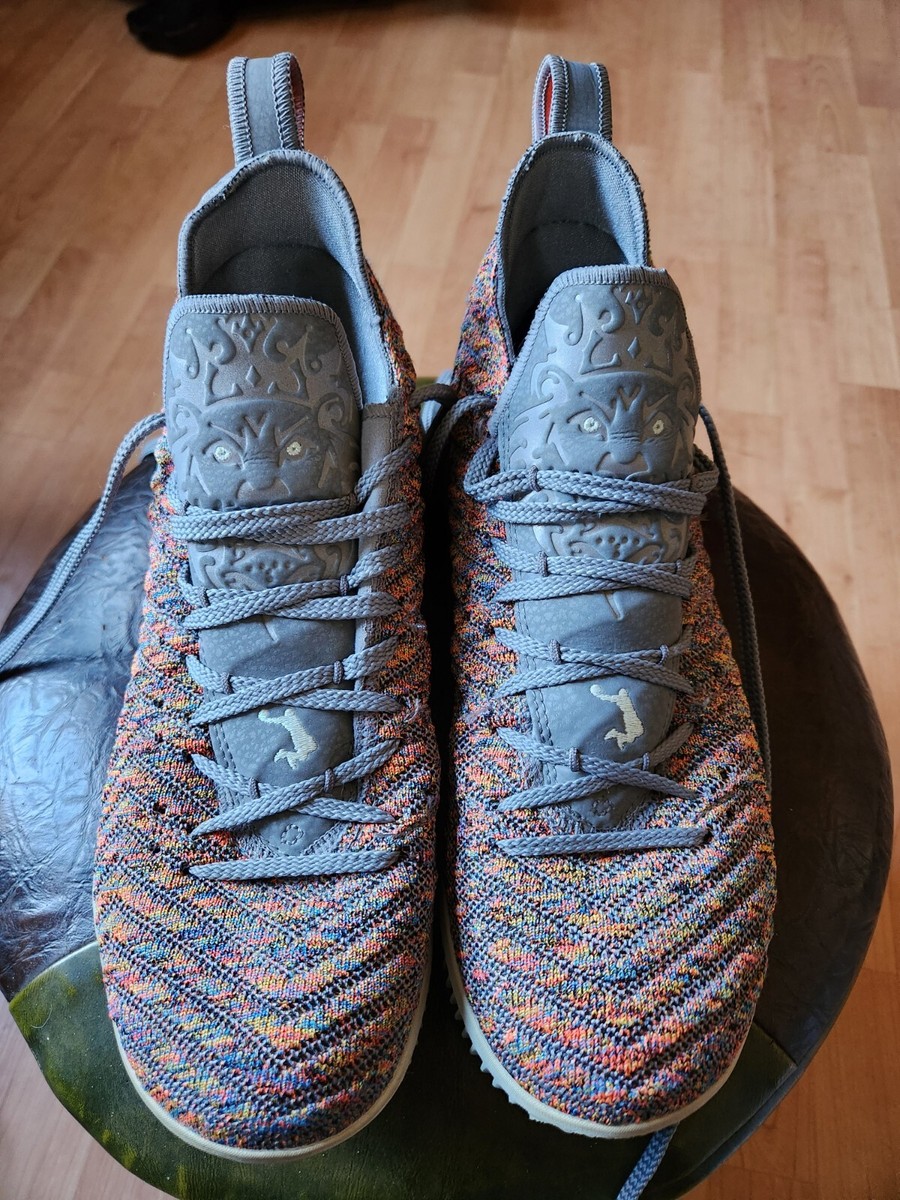 Lebron Shoes Lebron Flyknit Nike Lebron XVI 16 Men Size Flyknit