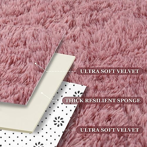  Blush Area Rug for Bedroom Living Room Carpet Home Decor, Upgraded 4x5.9 Cute 