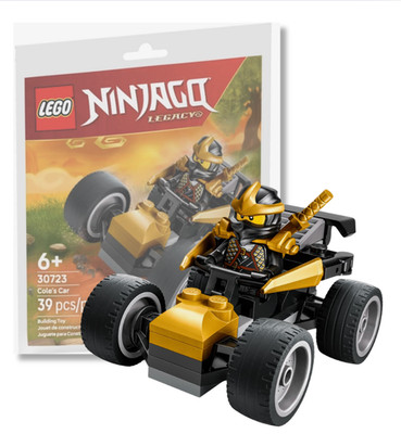 LEGO Ninjago Cole's Car Paper Bag 30723 (SEALED)