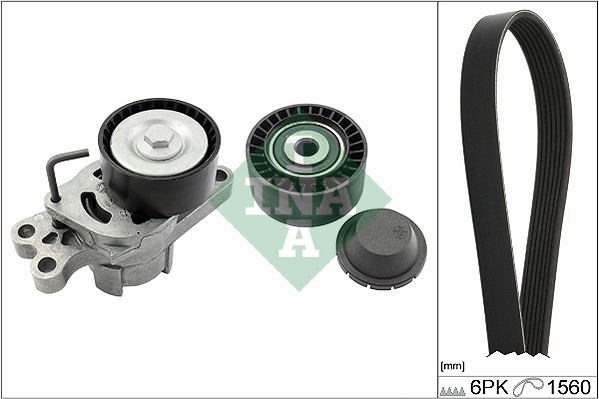 Keilrippenriemensatz FÜR Peugeot, CitroËN - Schaeffler INA 529 0109 10-image