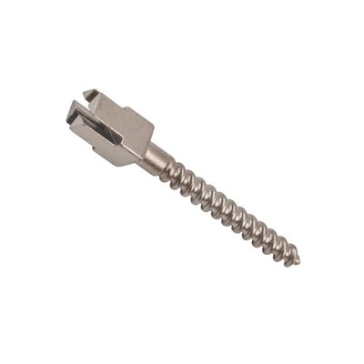 Titanium Composite Head Endo Screw Posts (12 mm) | eBay