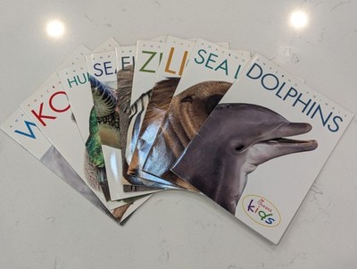 AMAZING ANIMALS CHICK FIL A Book Lot Of 9 Koalas Turtles Lions Zebras Dolphins