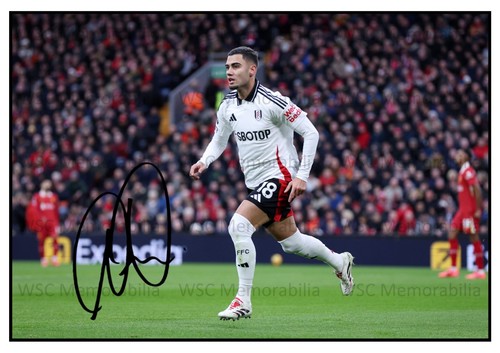 11501. Andreas Pereira Signed Pictures (A4 Prints) Fulham Manchester United etc.