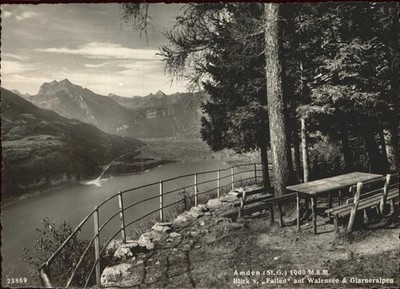 Amden Walensee SG Blick vom Fallen auf Walensee und Glarneralpen