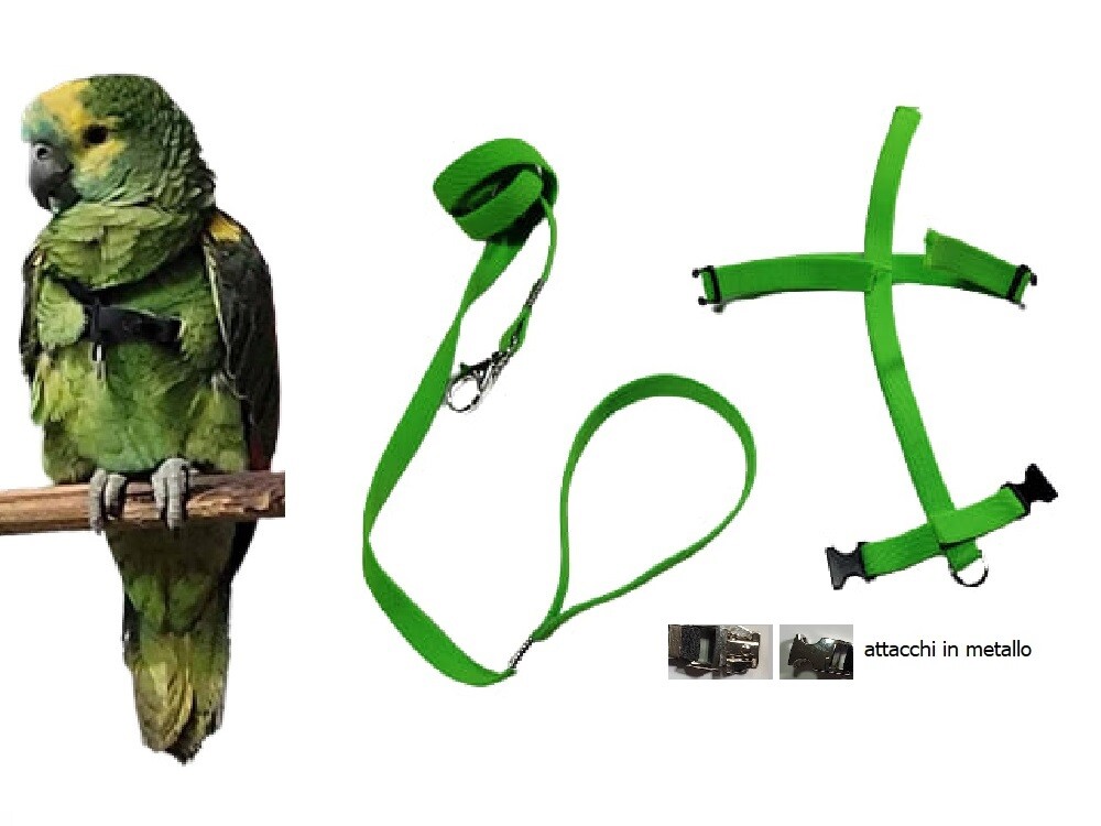Pettorina pappagalli elastica attacchi ACCIAIO amazzone