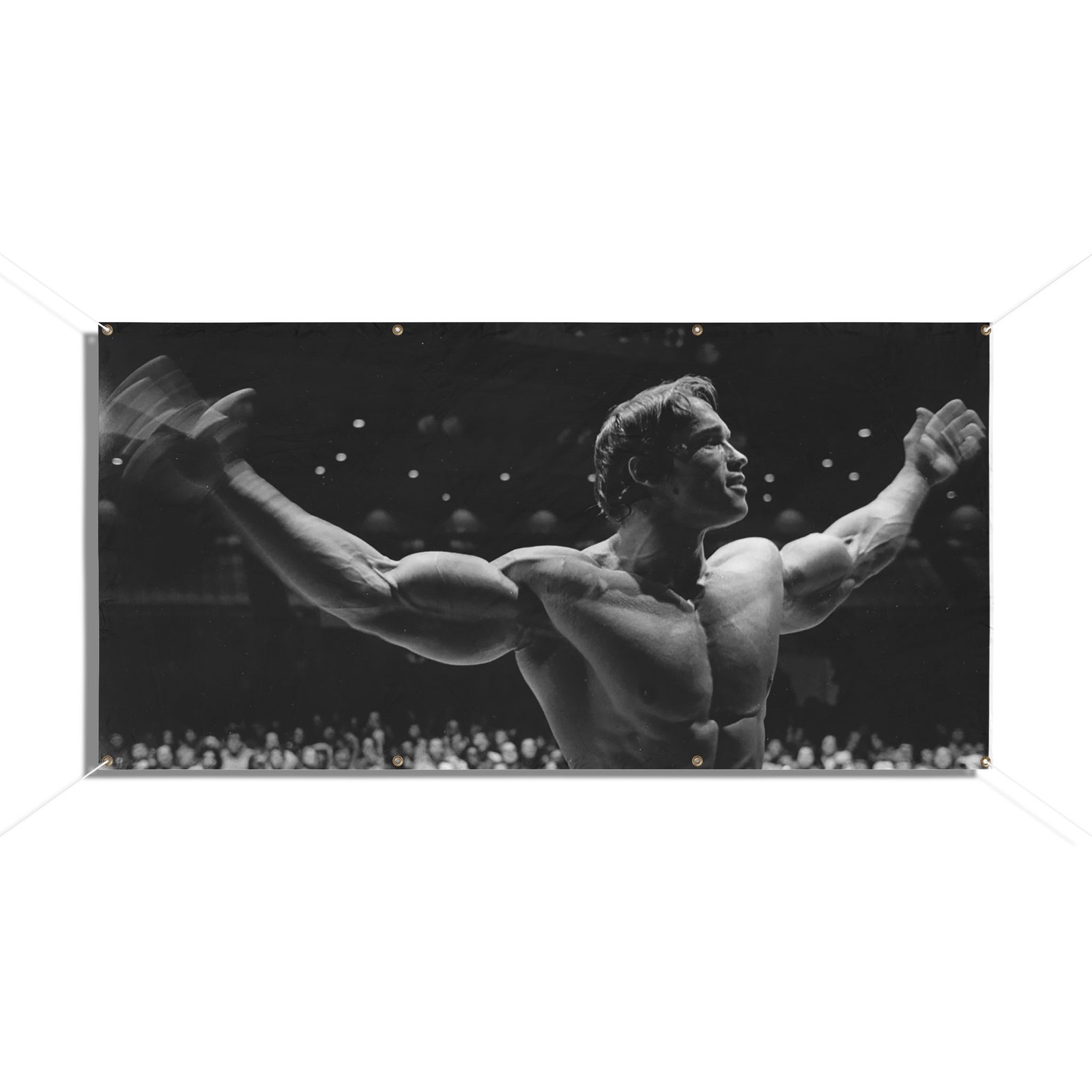 Arnold Schwarzenegger, Classic Bodybuilder Pose Vinyl Banner | Gym Wall Decor