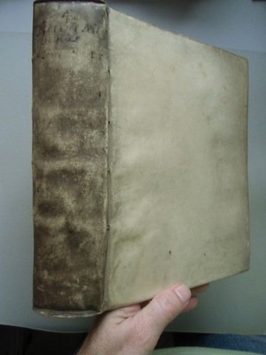 Fasciculus Triplex Floridissimorum, Et Gemmeorum Conceptum Aureorum ser Monum ..