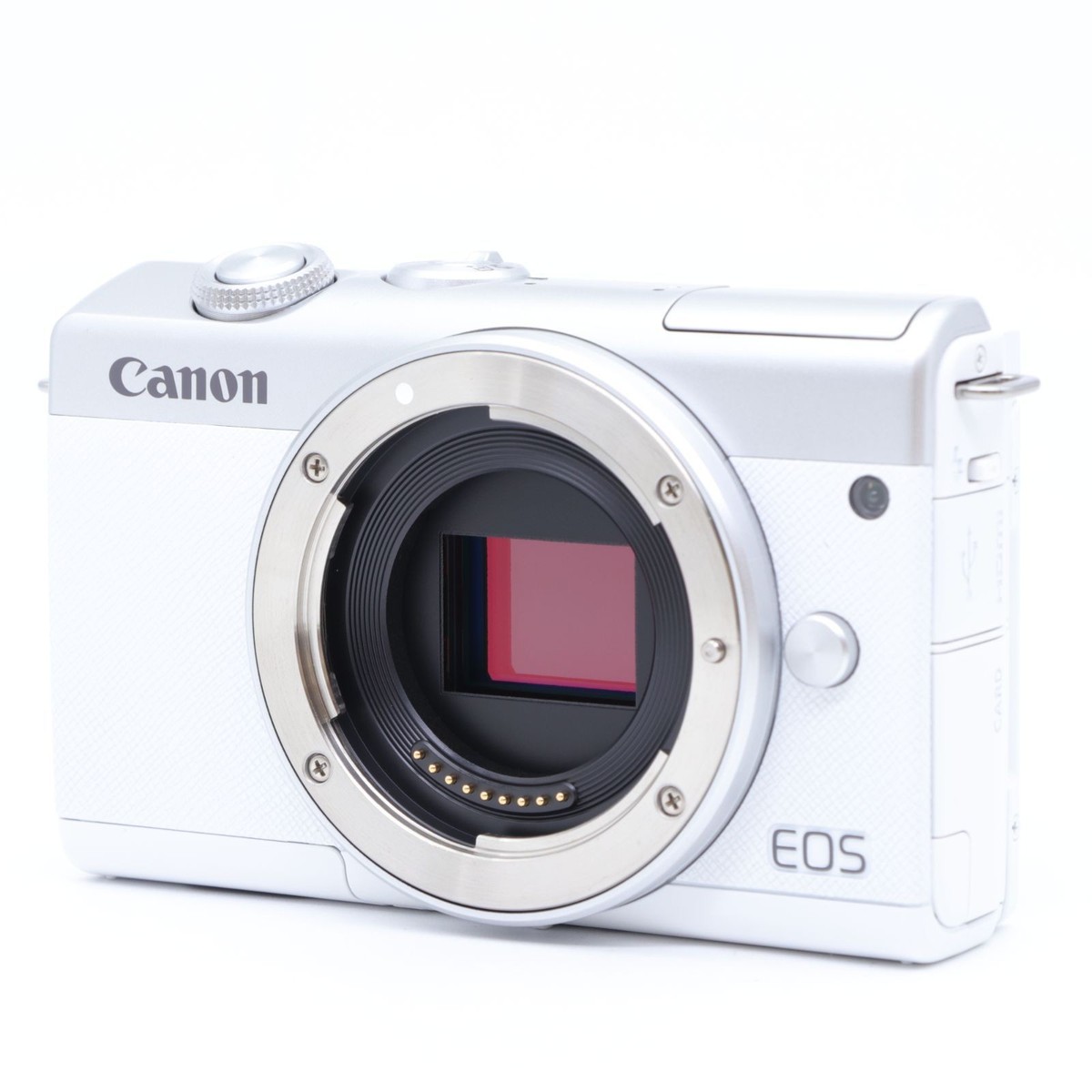 Canon EOS M200 24.1 MP Mirrorless Interchangeable Lens Camera