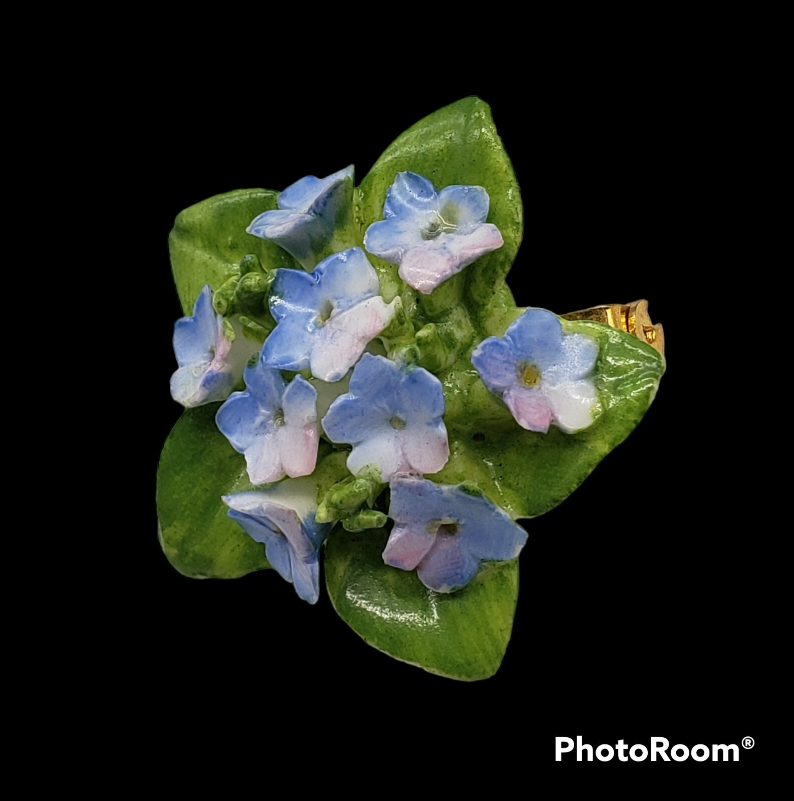 Vintage British Coalport China Porcelain Brooch Pin F… Gem