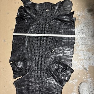Black 9’6 Wild Alligator Hornback Leather Hide