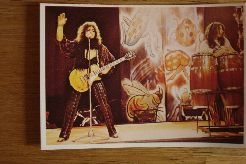 1 Aufkleber Mini-Poster PANINI POP STARS PICTURE POP T.REX MARC BOLAN M.FINN BTO - Bild 2 von 3