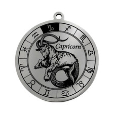 Capricorn Zodiac Pendant Stainless Steel 33mm Astrology Horoscope Charm