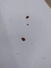 Capote Renault TRAFIC